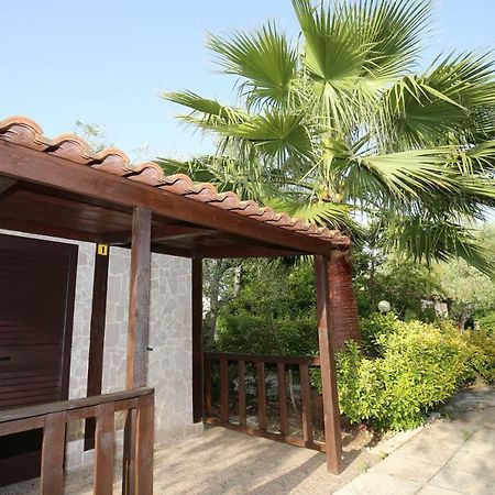 Agriturismo Da Mauro Vieste Ngoại thất bức ảnh